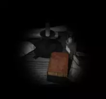 Image n° 1 - screenshots  : BS Radical Dreamers